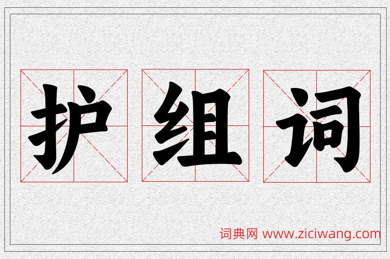 护字的组词