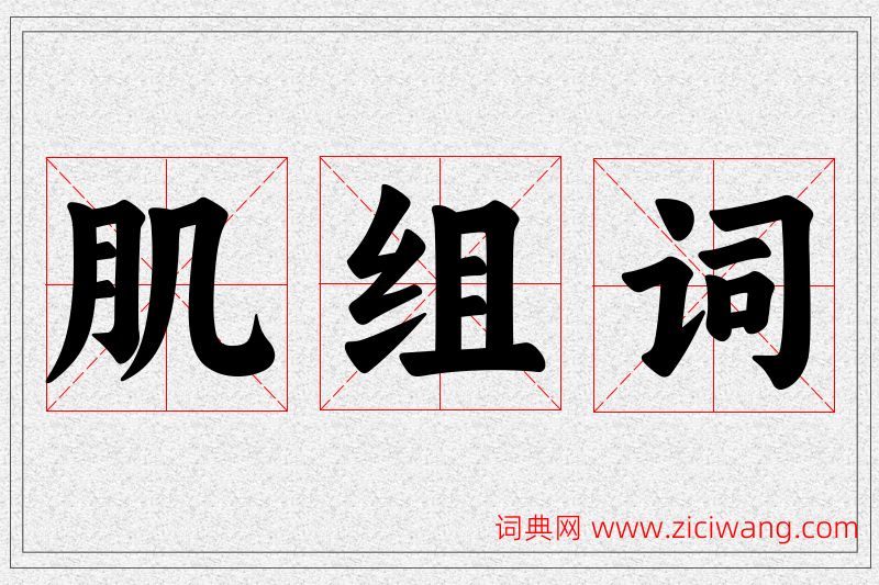 肌字的组词