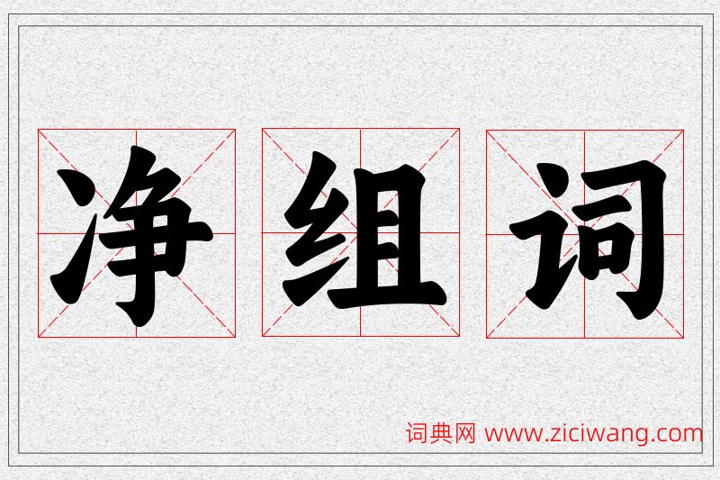 净字的组词