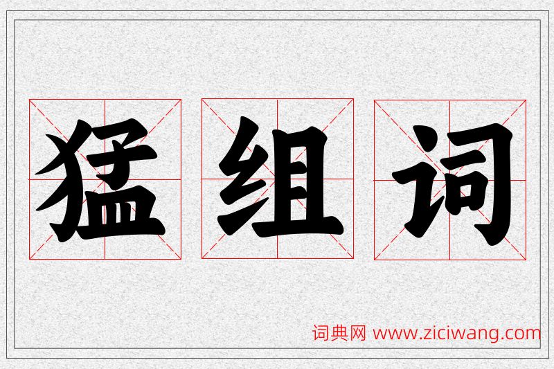猛字的组词
