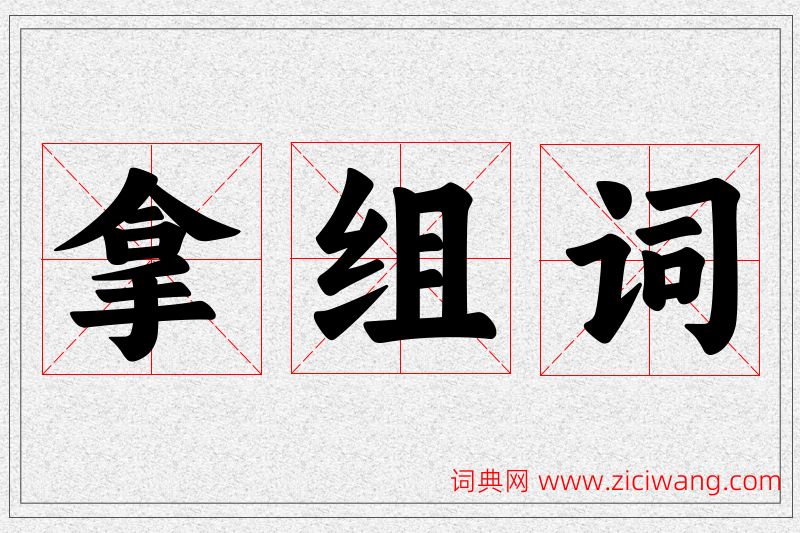 拿字的组词