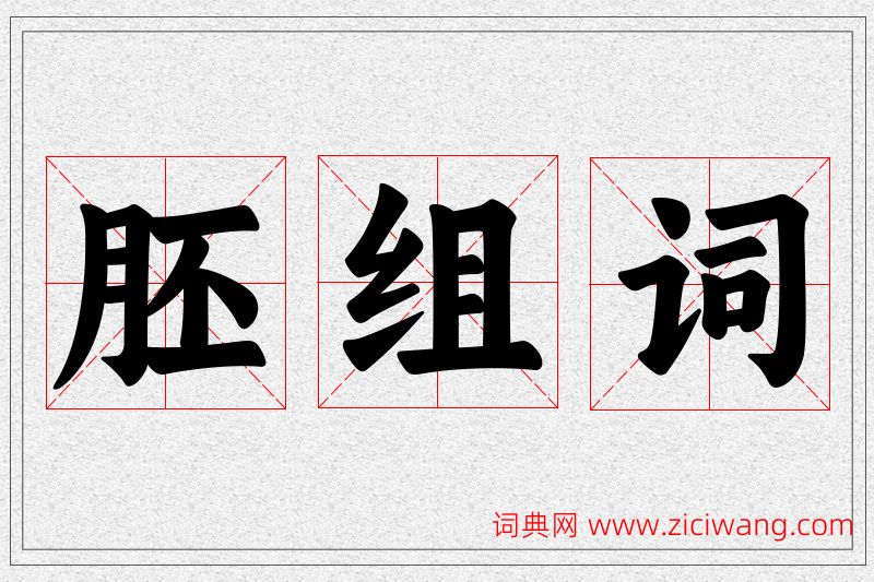 胚字的组词