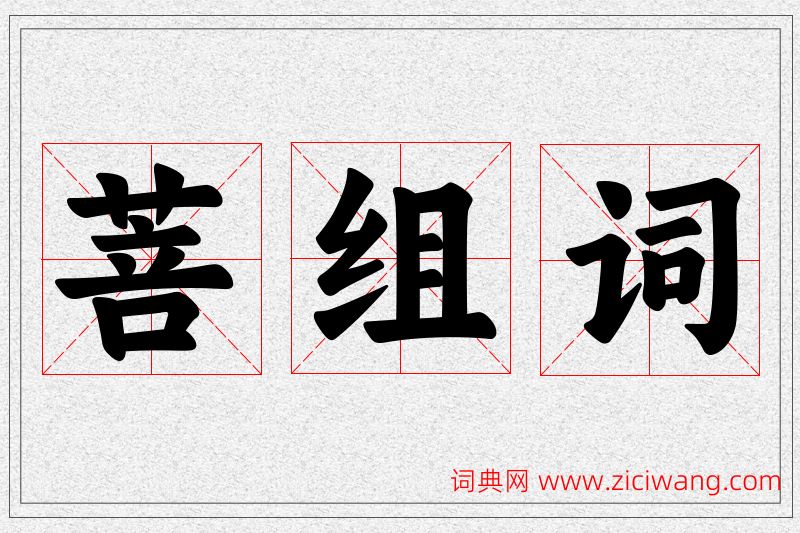 菩字的组词