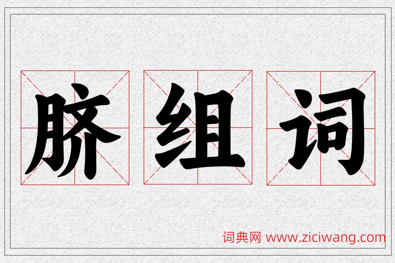 脐字的组词