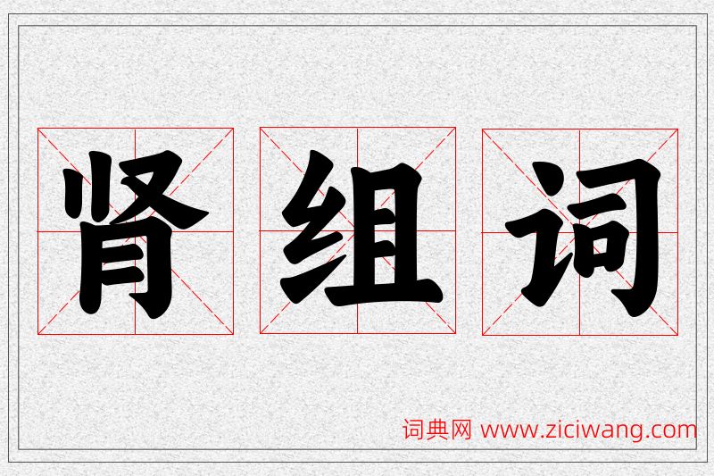 肾字的组词