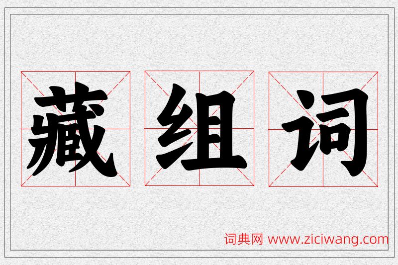 藏字的组词