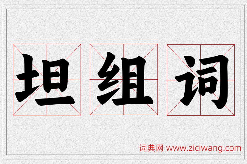 坦字的组词