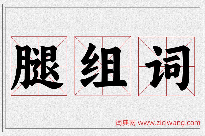 腿字的组词