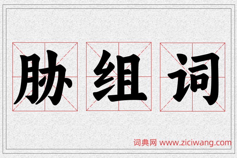 胁字的组词