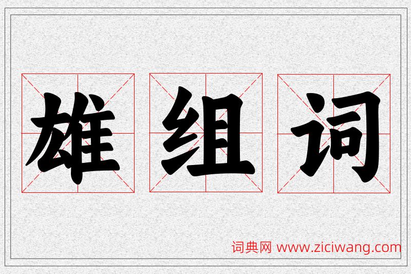 雄字的组词