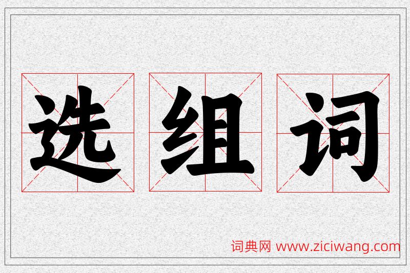 选字的组词
