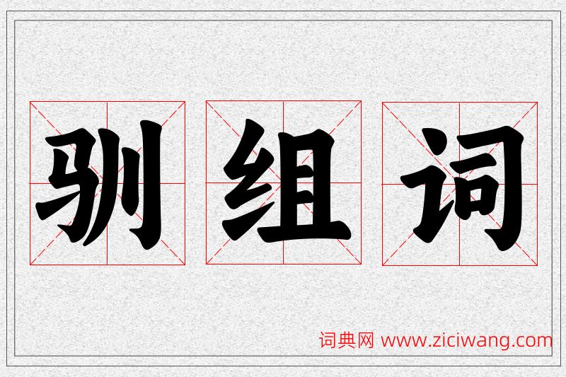 驯字的组词
