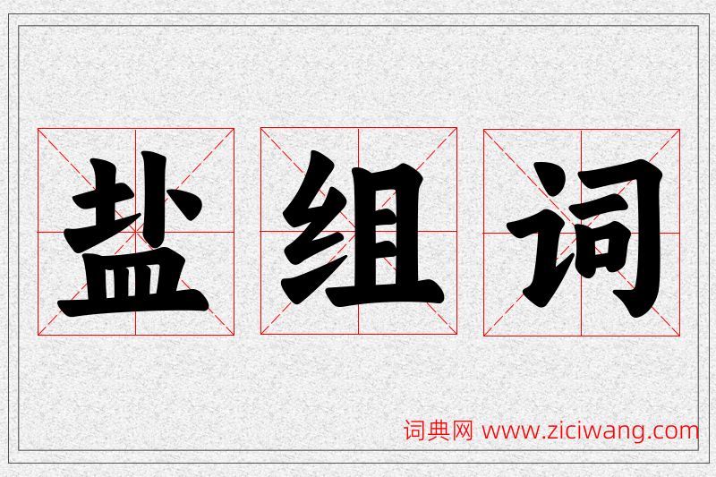 盐字的组词