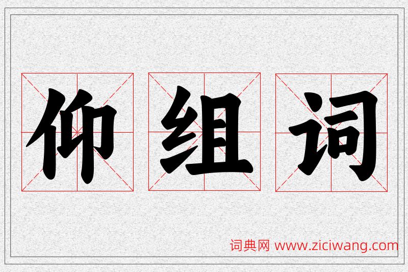 仰字的组词