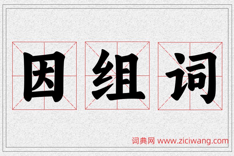 因字的组词