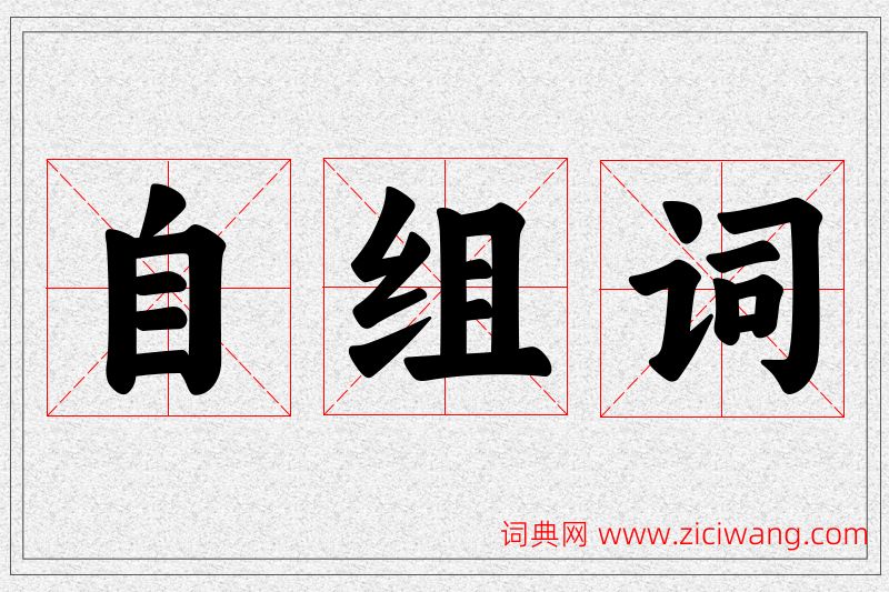自字的组词