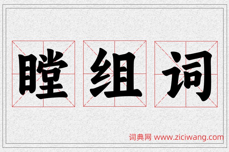 瞠字的组词