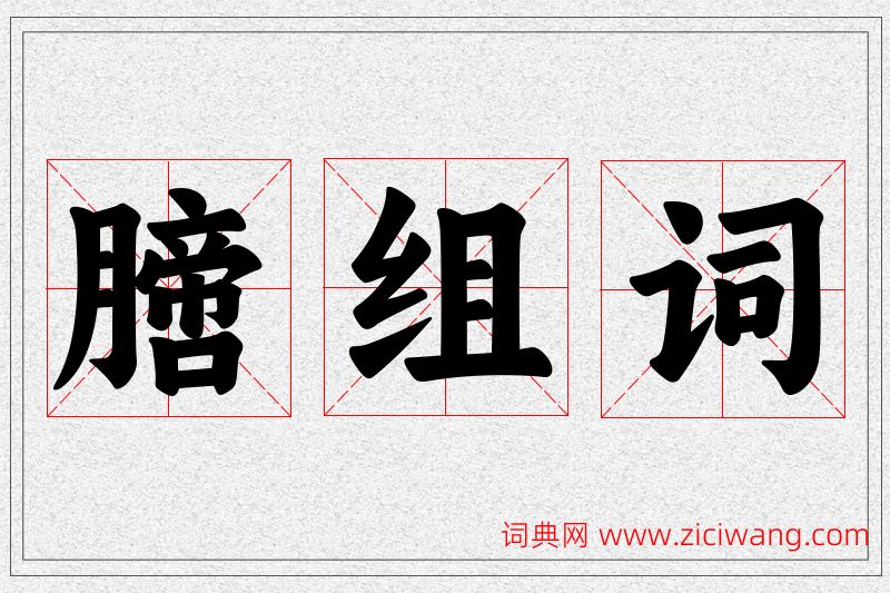 膪字的组词