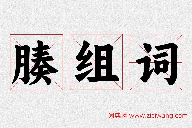 腠字的组词