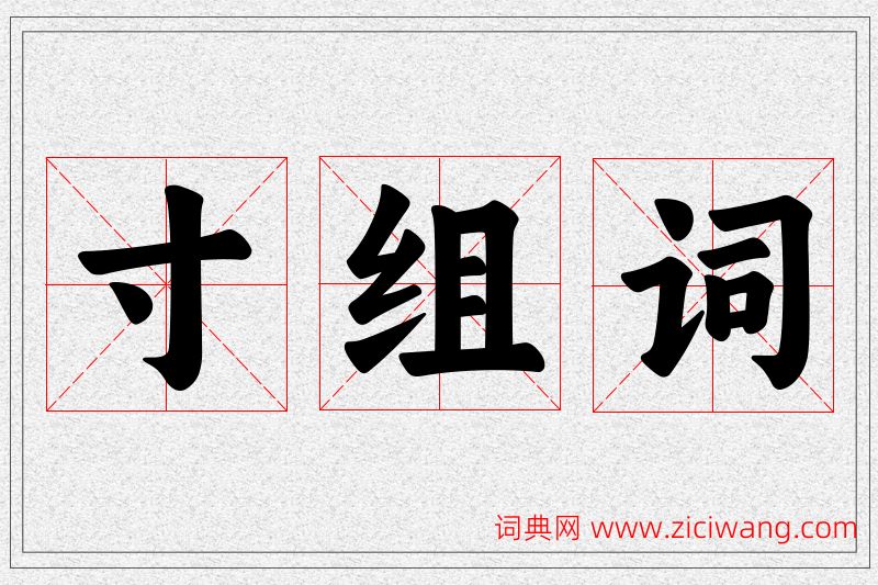 寸字的组词