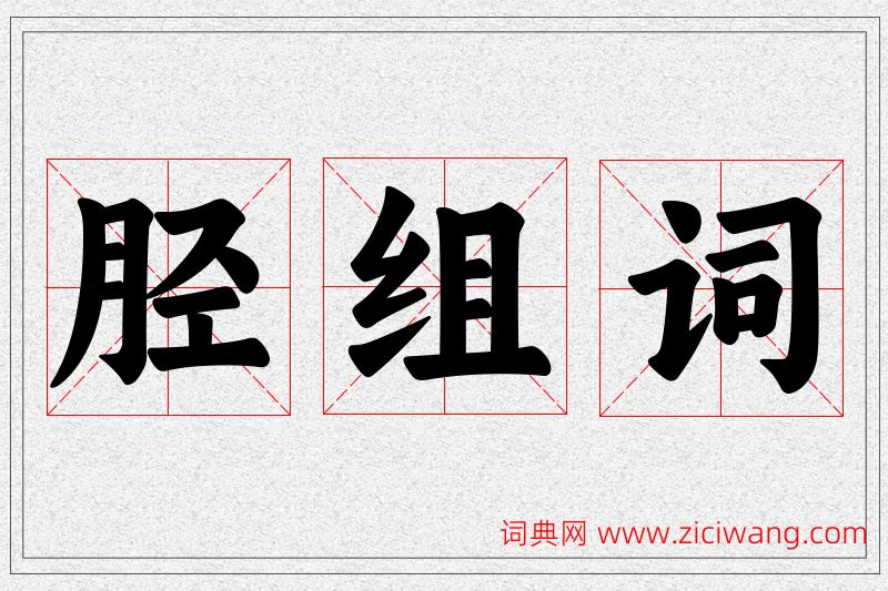 胫字的组词