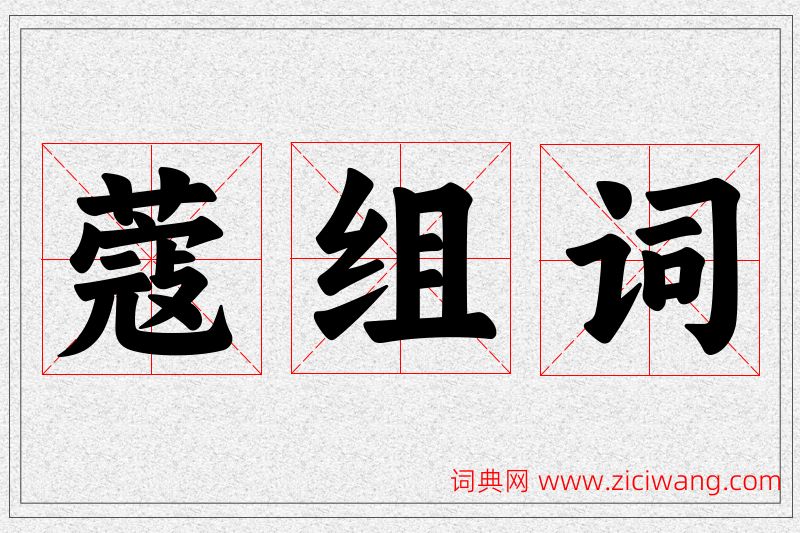 蔻字的组词