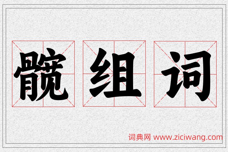 髋字的组词