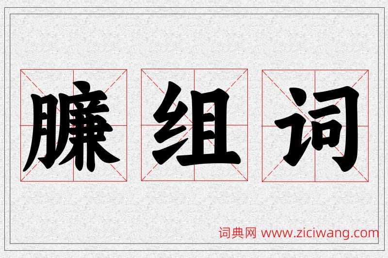 臁字的组词