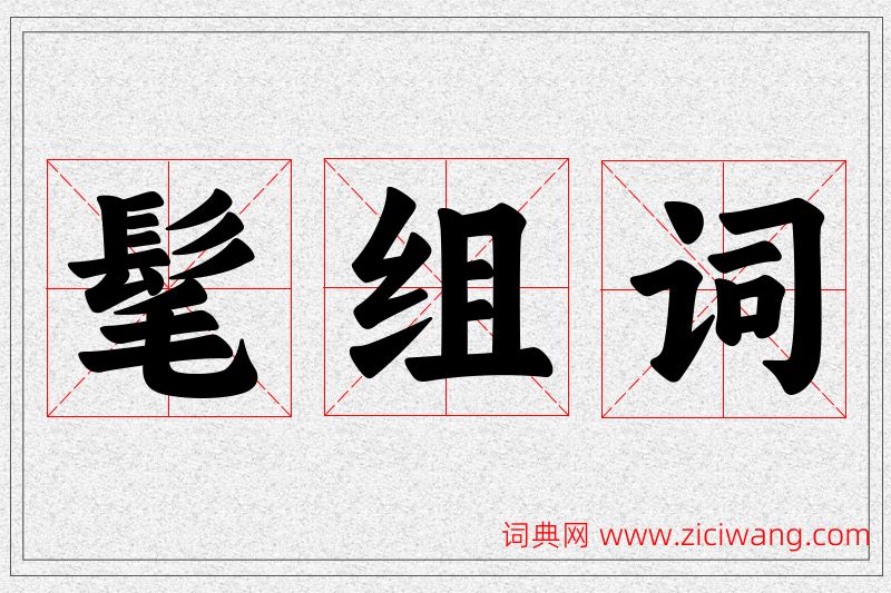 髦字的组词