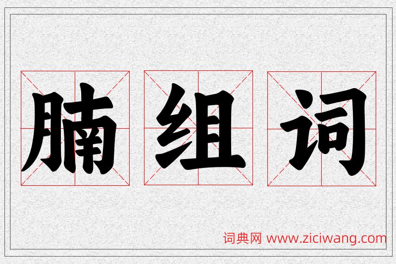腩字的组词