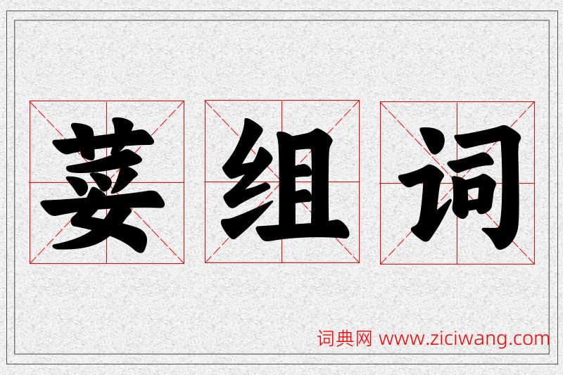 荽字的组词