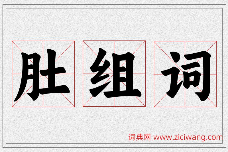 肚字的组词