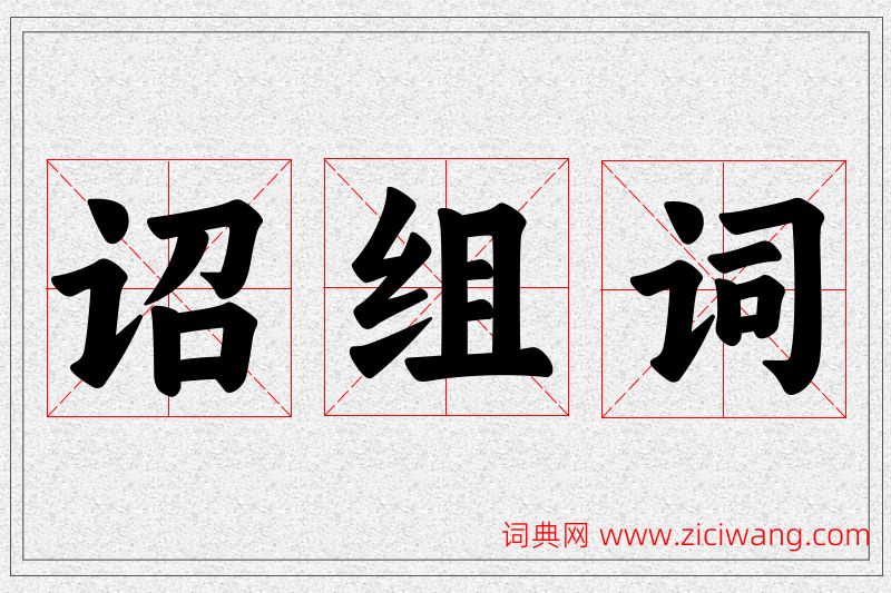 诏字的组词