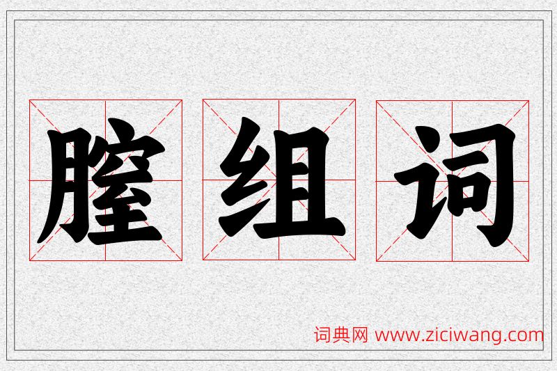 膣字的组词