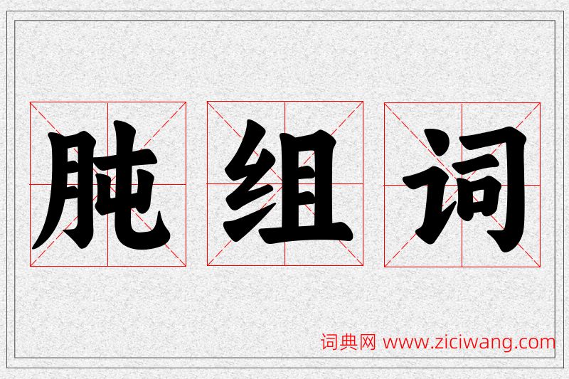 肫字的组词