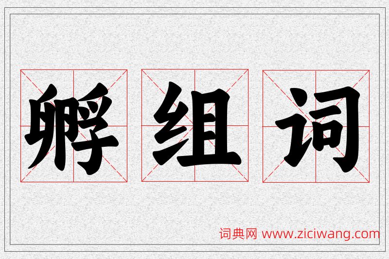 孵字的组词